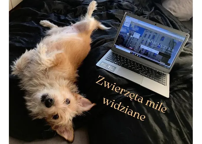 Dom Muzyka